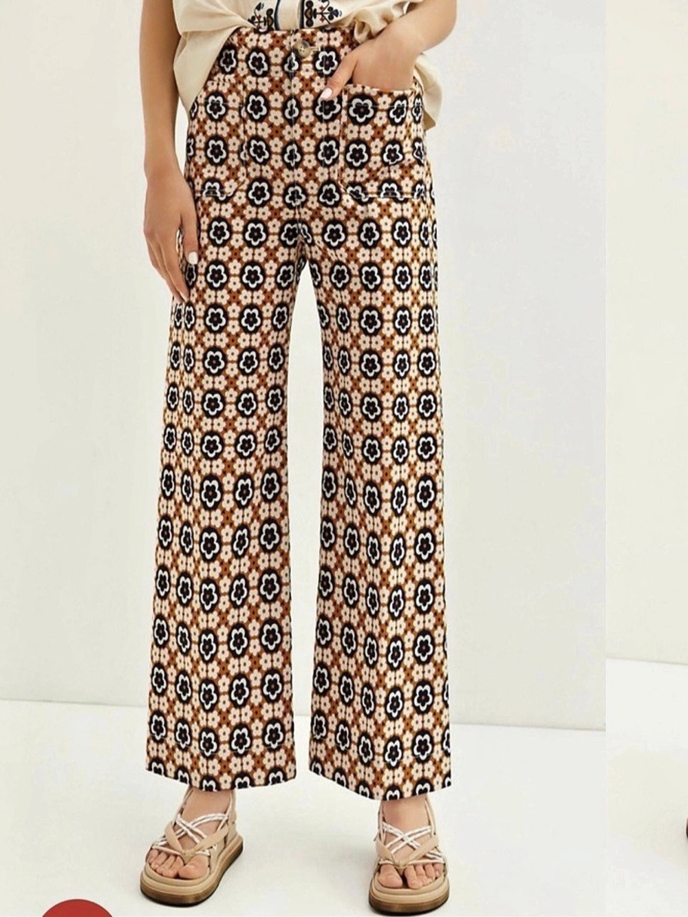 Anthropologie Colette Cropped Wide Leg Pant Size 29 Tall